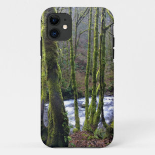Runoff from Bridal Veil Falls, OR iPhone 11 Case