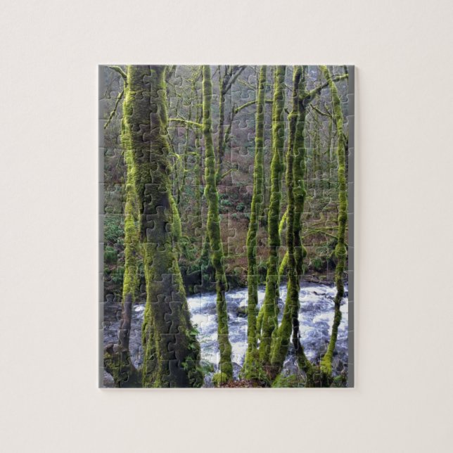 Runoff from Bridal Veil Falls, OR Jigsaw Puzzle (Vertical)