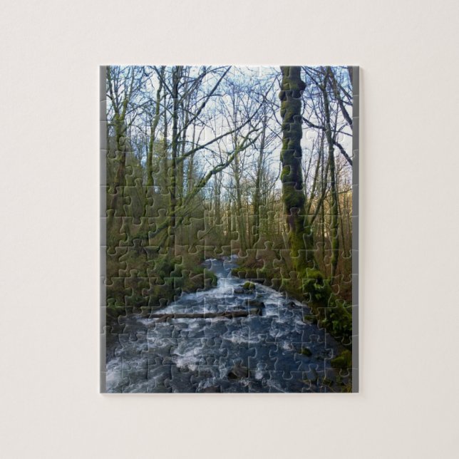 Runoff from Bridal Veil Falls, OR Jigsaw Puzzle (Vertical)