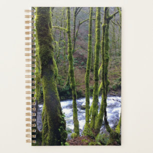 Runoff from Bridal Veil Falls, OR Planner