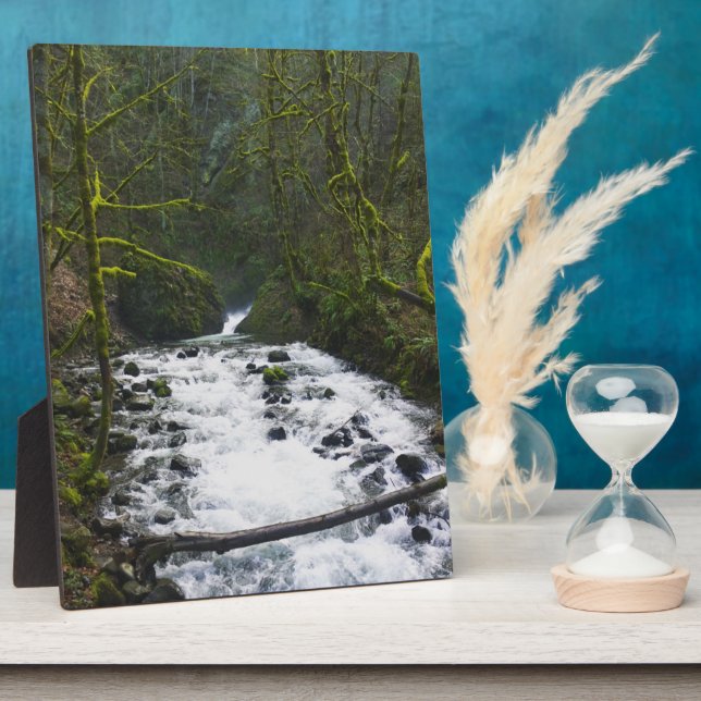 Runoff from Bridal Veil Falls, OR Plaque (Side)