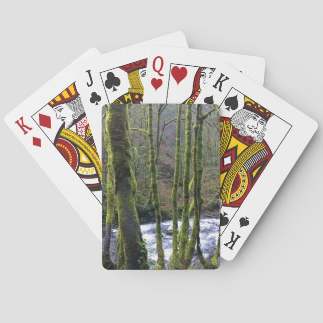 Runoff from Bridal Veil Falls, OR Playing Cards (Back)