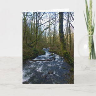 Runoff from Bridal Veil Falls, Oregon Card