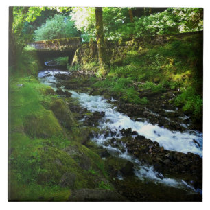 Runoff from Wahkeena Falls, OR Tile
