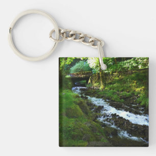 Runoff from Wahkeena Falls, Oregon Keychain