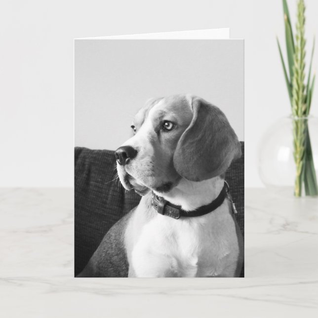 Rupert the Beagle Dog Blank Greetings Card (Front)