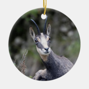 Rupicapra rupicapra ceramic ornament