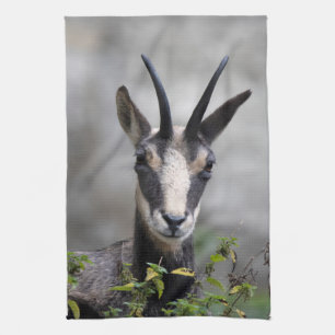 Rupicapra rupicapra kitchen towel