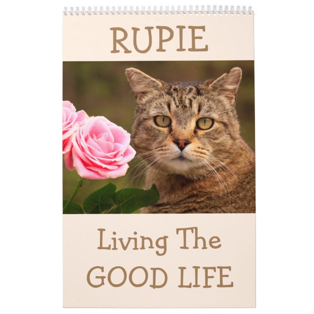 Rupie Shop Cute Cat Calendrier (Protection)