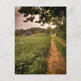 Rural Americana North Carolina Postcard