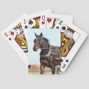 Rural Amish Horse and Buggy Playing Cards