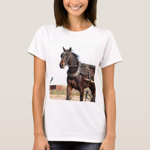 Rural Amish Horse and Buggy T-Shirt