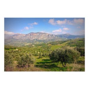 Rural Areas in Crete, Greece Photo Print