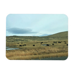 Rural Baker County, Oregon Canvas Print Magnet