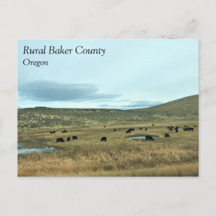 Rural Baker County, Oregon Postcard
