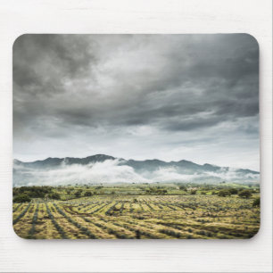 Rural Crop Fields Under Cloudy Sky Mouse Pad
