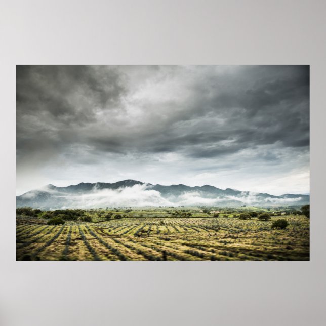 Rural Crop Fields Under Cloudy Sky Poster (Front)