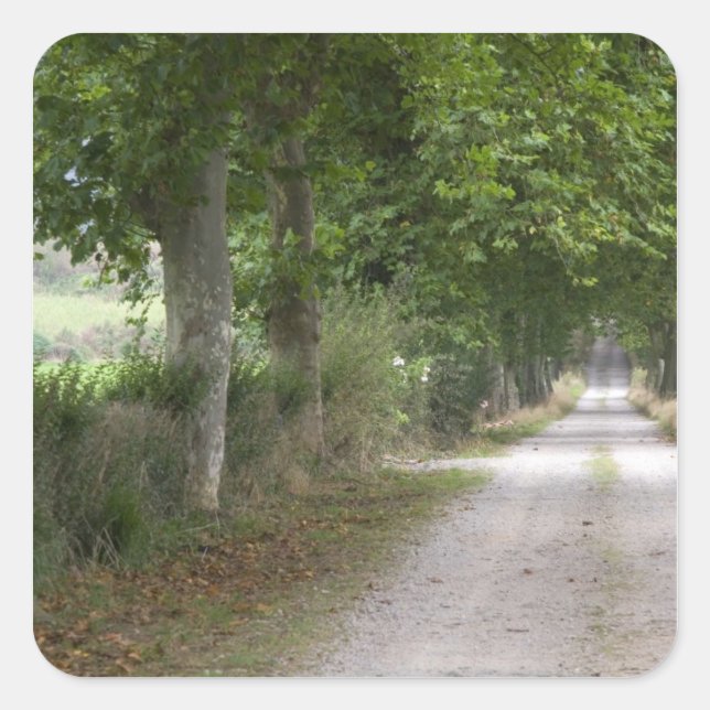 Rural dirt country road near the town of square sticker (Front)