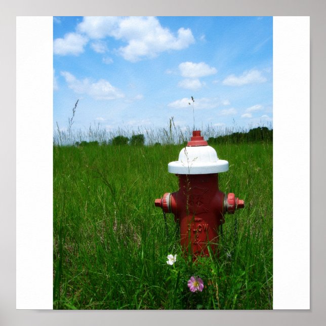 Rural Fire Hydrant Poster (Front)