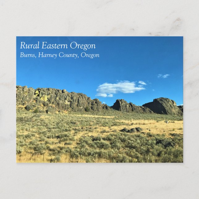 Rural Harney County, Burns, Oregon Canvas Print Po Postcard (Front)