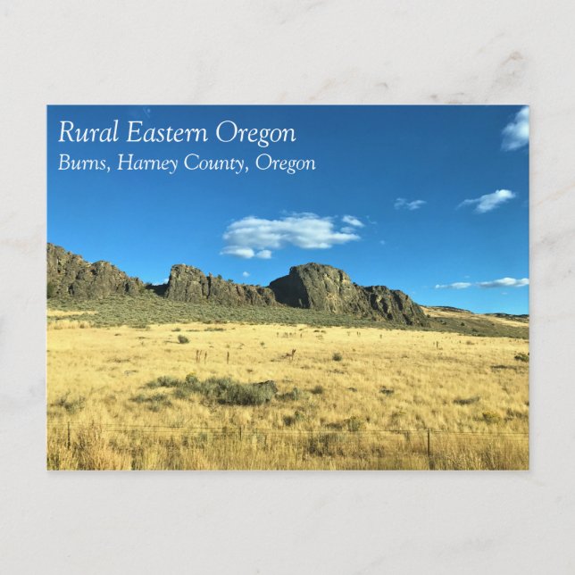 Rural Harney County, Burns, Oregon Postcard (Front)