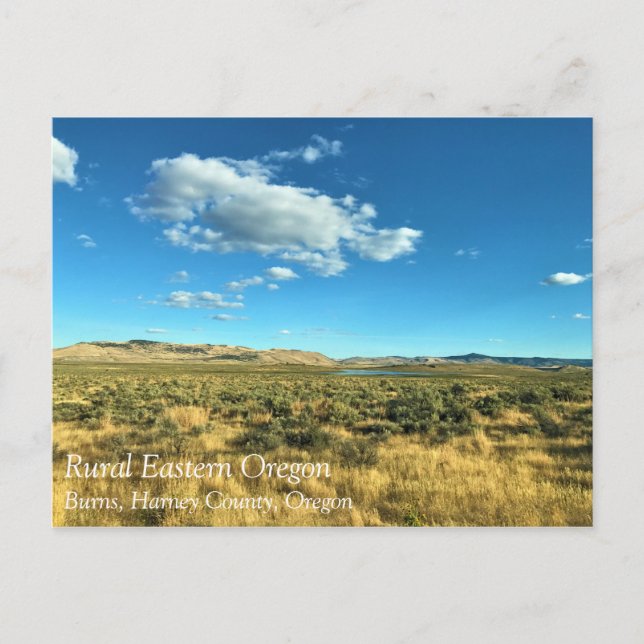 Rural Harney County, Burns, Oregon Postcard (Front)