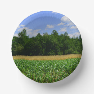 Rural landscape of a corn & wheat field & blue sky paper plate