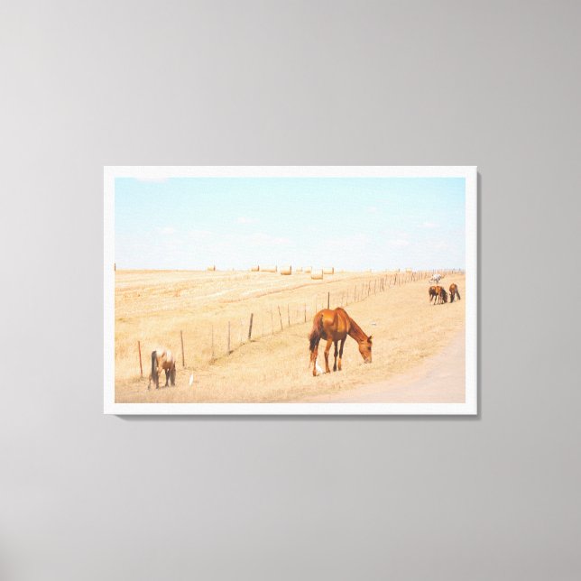 Rural Landscape Wild Horses Fields Canvas Print (Front)