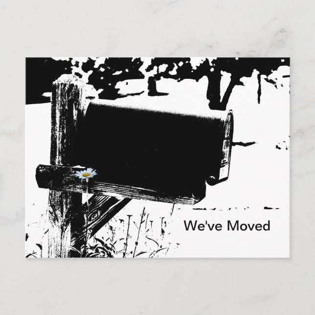 Rural Mailbox and Daisy Postcard (Front)