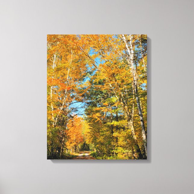 Rural Road Autumn Colors New Hampshire Canvas Print (Front)