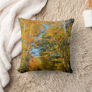 Rural Road Autumn Colors New Hampshire Throw Pillow