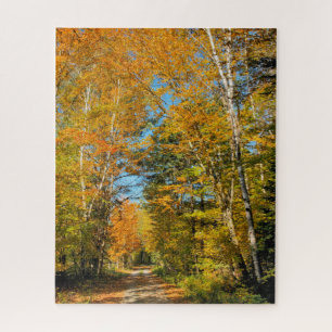 Rural Road Autumn Colours New Hampshire Jigsaw Puzzle