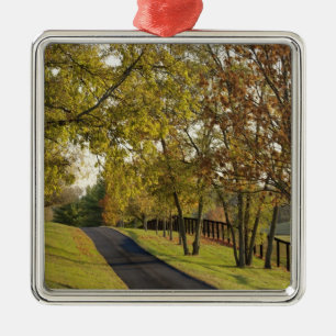 Rural road through Bluegrass region of Kentucky 2 Metal Ornament