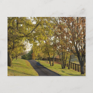 Rural road through Bluegrass region of Kentucky 2 Postcard