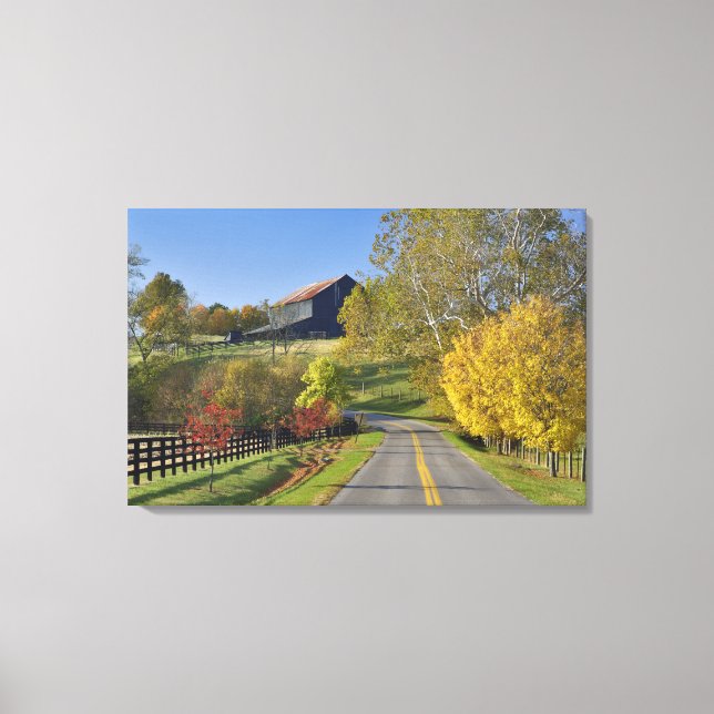 Rural road through Bluegrass region of Kentucky Canvas Print (Front)