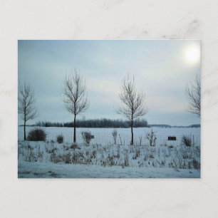 Rural View in Quebec, Canada Postcard