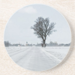 Rural winter road coaster