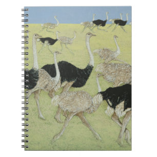 Rush hour 2 notebook