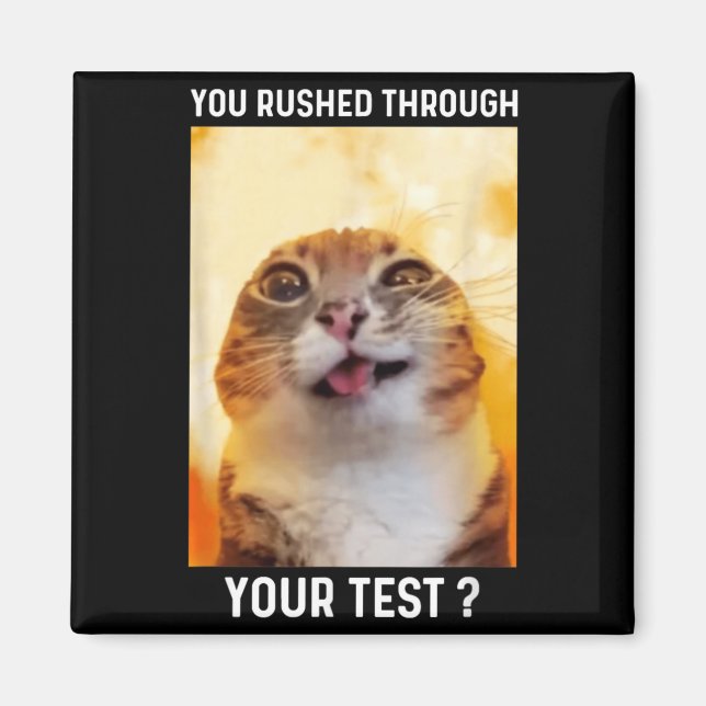 Rushed Through Test Funny Test Day Teacher Cat Magnet (Front)