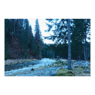Rushing Mountain Stream – Wild Nature Romania Photo Print