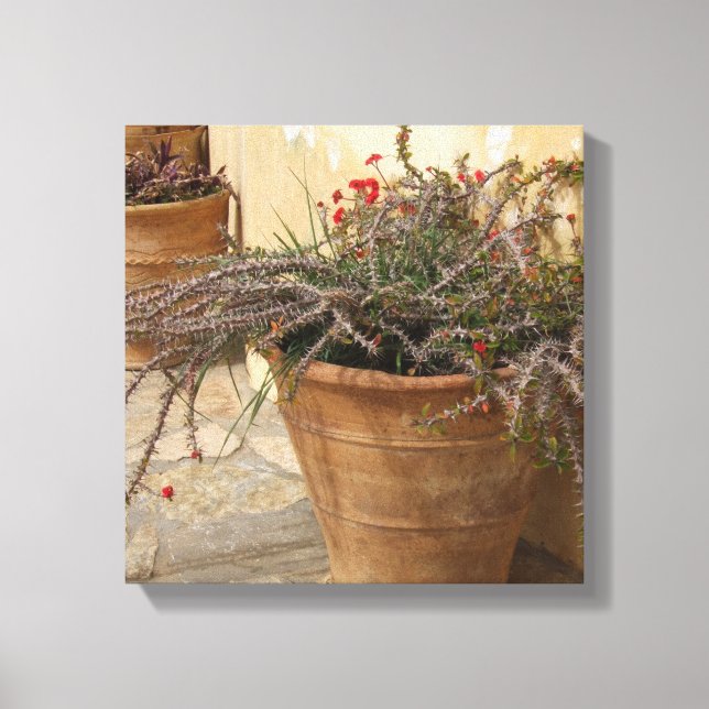 Rusrtic Courtyard Wrapped Canvas (Front)