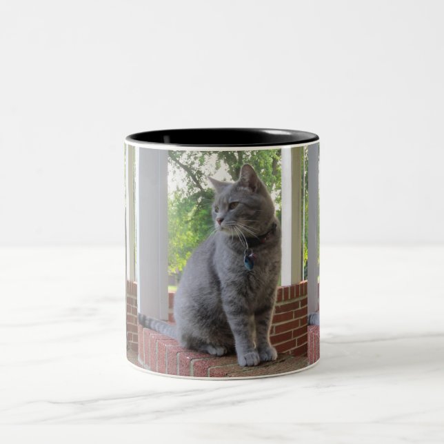 Russ La Mug Du Chat (Centre)