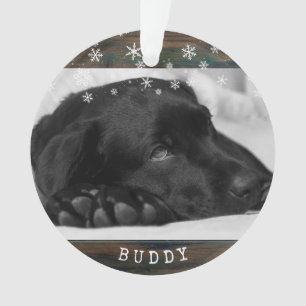 Russe Chien de bois Animaux de compagnie Photo Sno