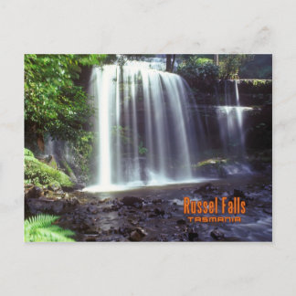 Russel Fall, Tasmania,Australia Postcard