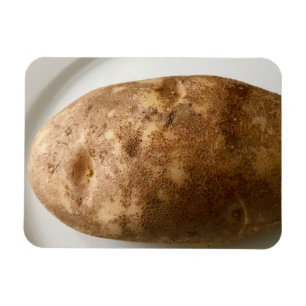Russet Potato on White Plate Photo Magnet