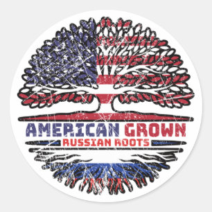 Russia Russian US American USA United States Tree Classic Round Sticker