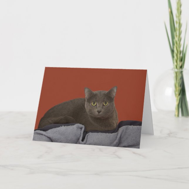 Russian Blue Birthday Card by Focus for a Cause (Front)