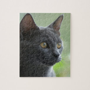 Russian Blue Cat Jigsaw Puzzle