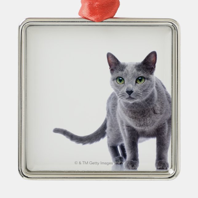 Russian Blue Cat Metal Ornament (Front)