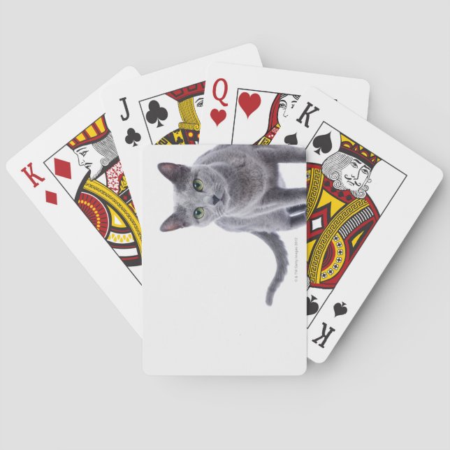 Russian Blue Cat Playing Cards (Back)